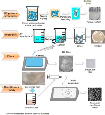 Silk fibroin-based scaffolds for tissue engineering